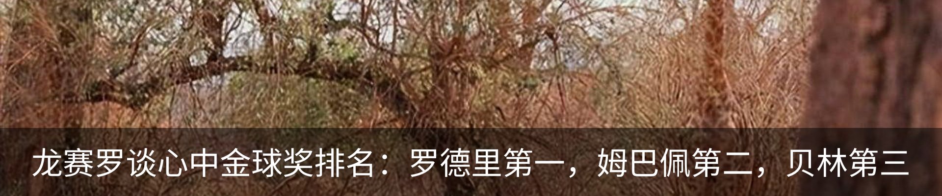 资讯中心